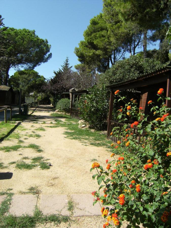 Bungalows Club Aire Libre 또사데마르 외부 사진